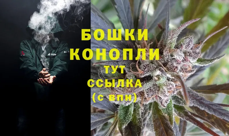 Конопля THC 21%  блэк спрут ССЫЛКА  Инсар 